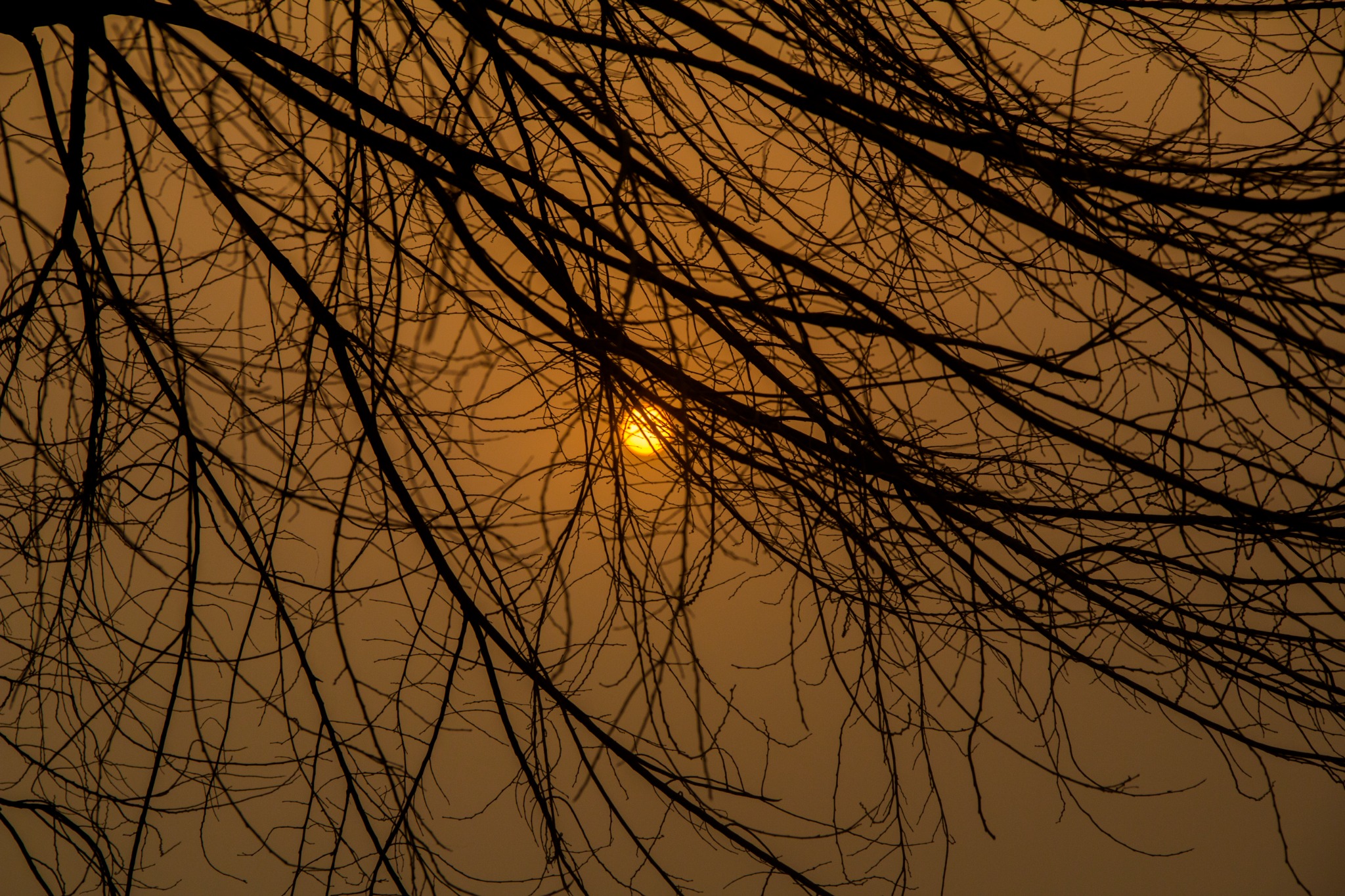 The Anatomy of Evening